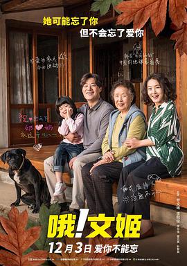 不卡视频在线