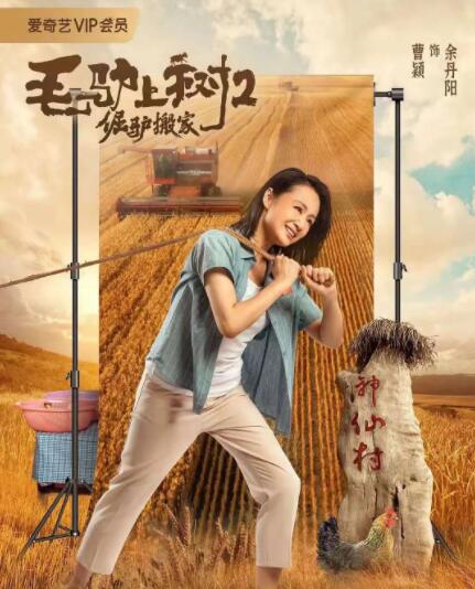 婷婷亚洲精品