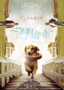 成人看片又黄又爽