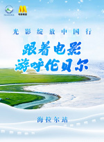 91视频大全