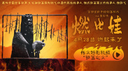 精品成人一区二区