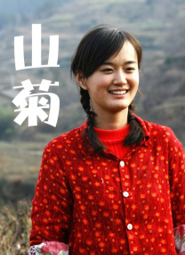 miad女教师系列全部封面