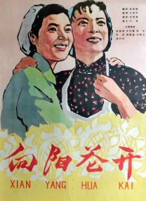 视频在线一区二区