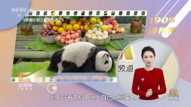 性姿势视频